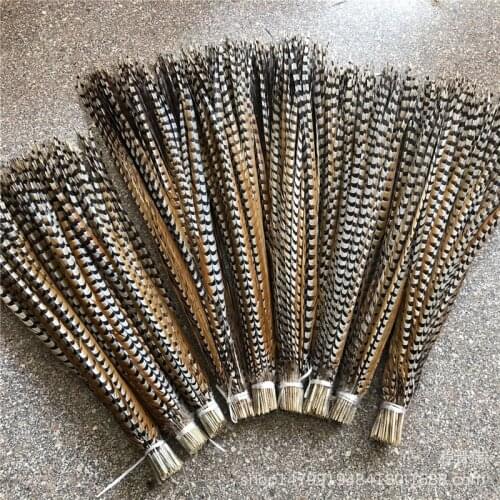 Natural Rare Pheasant Tail Feathers for Crafts 80-180 CM Reeves Venery Pheasant Tail Feather Carnival Costumes Decoration Plumas
