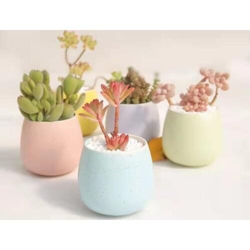 Ceramic Succulent Flowerpot With Hole Small Home Office Desktop Decor Mini Fleshy Florets Pots For Office Decor 1Pcs Pots