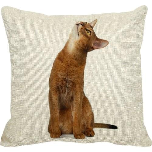 XUNYU 45cmx45m cute pet Abyssinian cat new cotton comfort cushion set home sofa decoration hug pillowcase YH051
