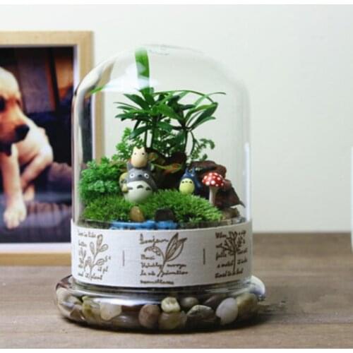 1PC Micro landscape ecological glass bottle fleshy moss Transparent Air Plant Hanging Glass Vase JY 1207