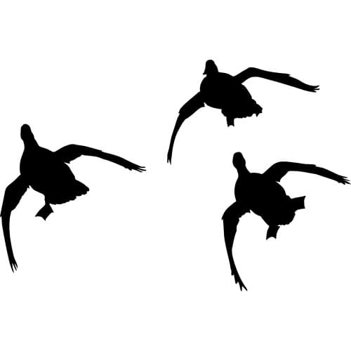 40601# Die-Cut Vinyl Decal 3 Ducks Car Sticker Waterproof Auto Decors on Car Body Bumper Rear Window