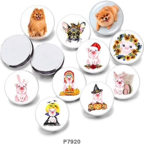Animal 12mm/18mm/20mm/25mm/30mm Round Glass Cabochon Flat Back Making Findings P7920
