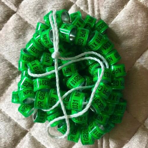 Free shipping 2021 pigeon ring bands with name phone serial year custom pigeon racing rings 7mm inner rings