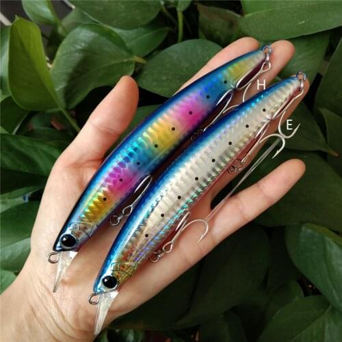 TSURINOYA 2PCS 130mm 23g Long Casting Floating Minnow Hard Bait DW111 Sea Bass Saltwater Sea Fishing Lure