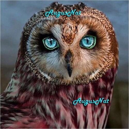 Owl diamond painting full square drill bird wall art animal diamond drawing hand craft gift diamond embroidery poster craft gift