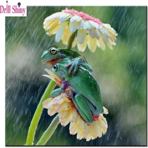 Diy diamond painting full diamond embroidery Landscape Frog mosaic pictures of rhinestones landscape 3d diy wall art Home decor