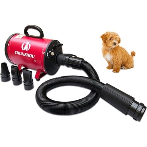 BS2400 Pet Dryer Single Motor Strong Power Low Noice Stepless Speed 2400W Dog Hair Dryer Sent Towel