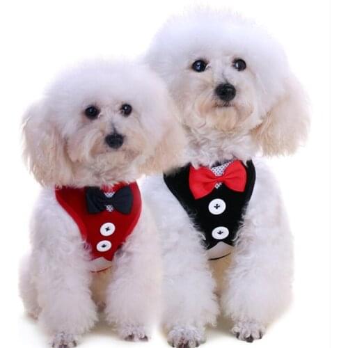 DCPET Harnesses