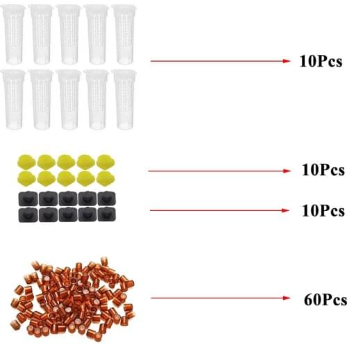 Bee rearing kit complete system new bee queen cages cell box plastic accessories apiculture beekeeper protection cover supplies