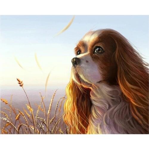 5D DIY Diamond Painting Full Square/Round Beautiful Dog Diamond Embroidery Sale Animal Handicraft Decor For Home