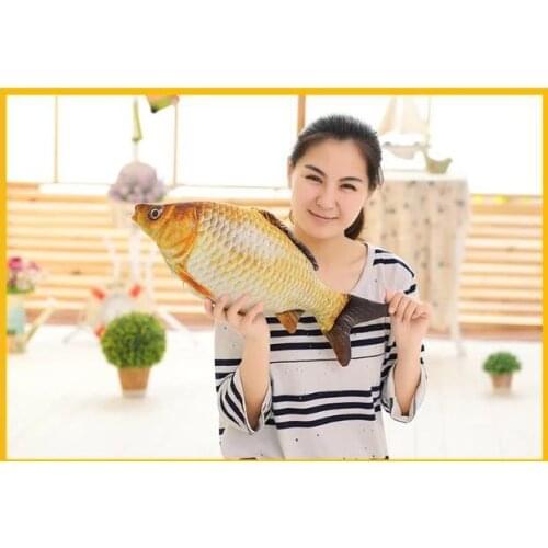 Small cute plush fish toy stuffed Crucian carp design doll gift about 55cm 0014