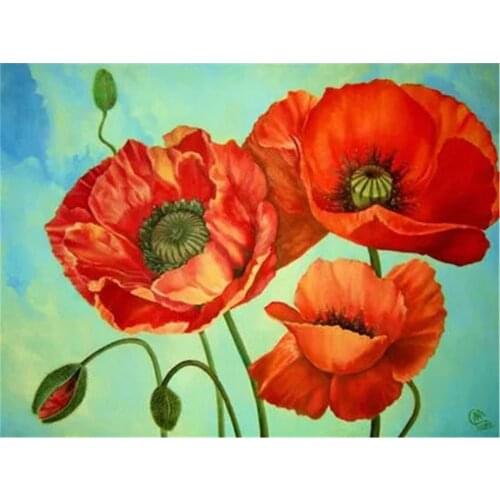 Poppy Flower DIY Embroidery Cross Stitch 11CT Kits Needlework Craft Set Cotton Thread Printed Canvas Home Decoration New Sell
