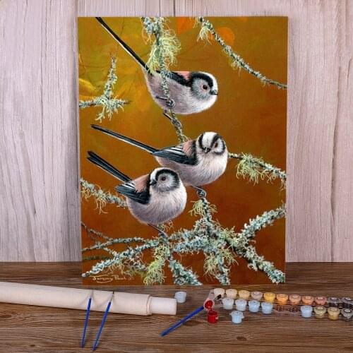 Bird Animal Coloring By Numbers Painting Package Oil Paints 40*50 Picture By Numbers Photo Handmade For Adults Wholesale