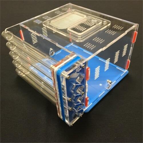 5 tube design big DIY with feeding area ant nest ,ant farm acryl, insect ant nests villa pet mania for house ants