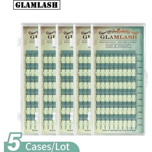 GLAMLASH Wholesale 5 Cases/Lot Premade fan 2D 3D 4D 5D 6D Eyelash Extension individual russian volume faux mink false lash cilia