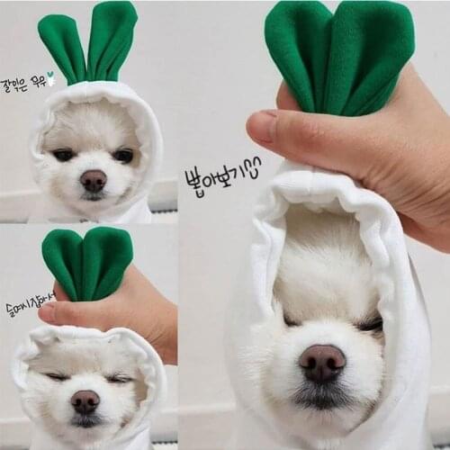 White Radish Hoodie Pet Dog Clothes Christmas Deer Clothing Dogs Velvet Super Small Cute Warm Chihuahua Winter Soft Boy Mascotas