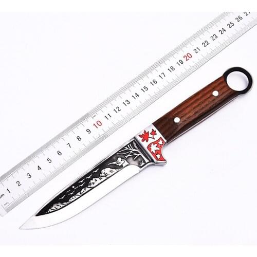 Outdoor high hardness fruit knife, survival multi-function saber, small straight knife, camping knife