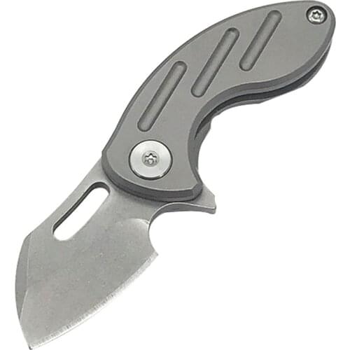 Mini S35VN Powder Steel Folding Knife Outdoor Ball Bearing Pocket Knives pocket TC4 titanium alloy Handle Camping Knifes