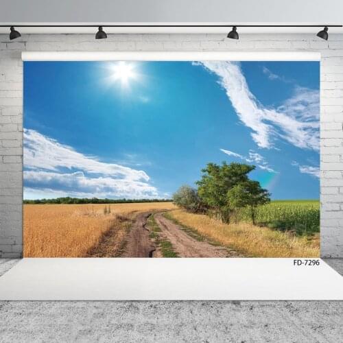 Photographic Background Countryside Field Path View Vinyl Photophone Backdrops for Children Baby Portrait Photocall Photo Studio