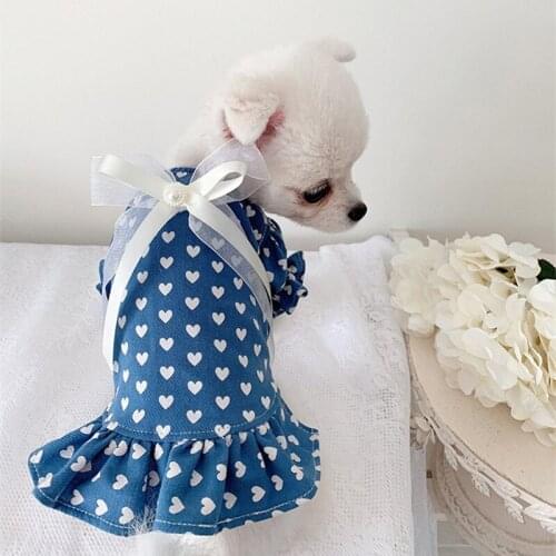 Doggie Cute Heart Dog Dresses XXS XS Dress Cat Skirt Chihuahua Yorkshire Pomeranian Poodle Girl Clothing Dog Clothes Summer 2021