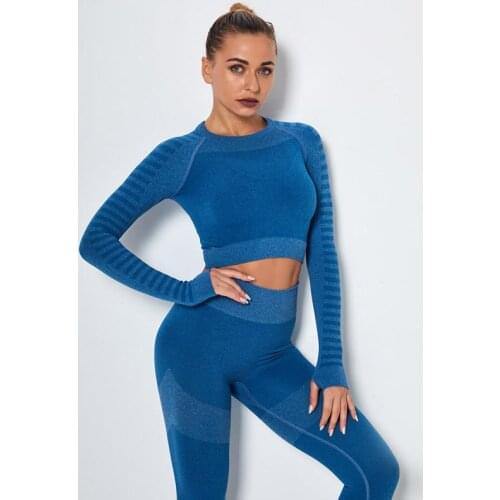 Sports t Shirt Fitness Women Seamless Gym Clothes Long Sleeve Cropped Tops Workout Womens Running t Shirt Sexy Tight-Fitting