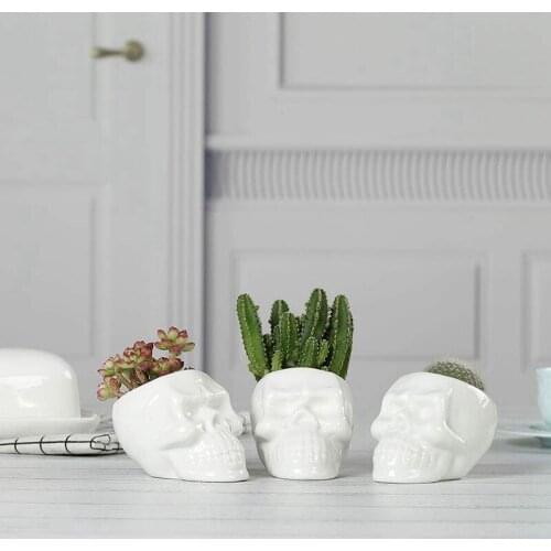 White Ceramic Skull Shaped Succulent Planter Pots Set Of 3, Cute Cactus Plant Pot Creative Pen Pencil Holder for Home Office Des
