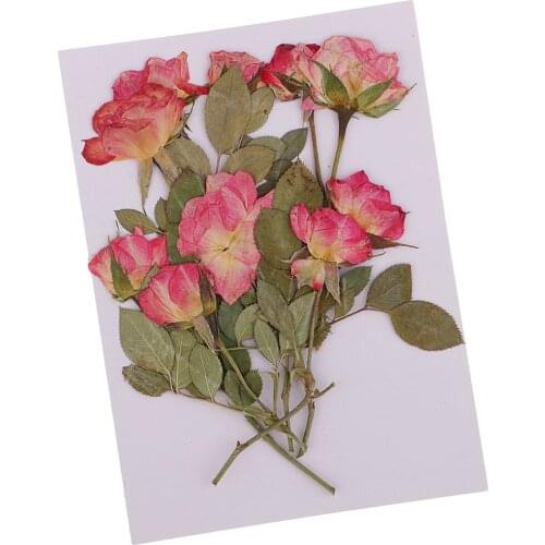 10 Pieces Natural Rose Buds with Branch Real Pressed Dried Flowers For Art Paper Making Gift Packaging Material DIY Project
