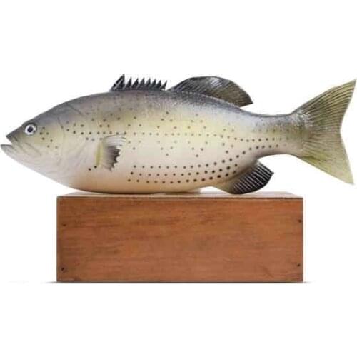 Simulation Sea River Flower Fish False Osmanthus Seafood Aquatic Model Baby Toys Photography Props Ornaments Sea Life Foam 2021