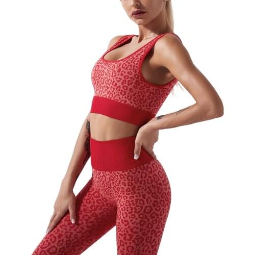 Womens Leopard Printed 2Pcs Yoga Suit Sports Bra with High Waist Tight Long Pants for Exercise Wear