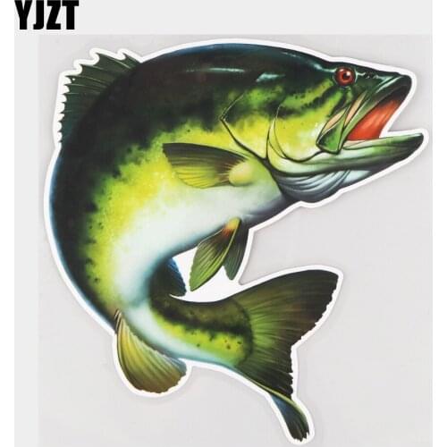 YJZT 16.2×17.3CM Green Perch Cartoon Rear Windshiel Decal Decoration Personality Car Sticker 21A-0672