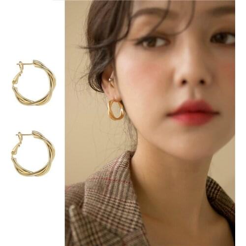 12 PCS/lot Personality S925 Silver Needle Metal Hypoallergenic Earrings Hoop Earrings for Women Jewelry