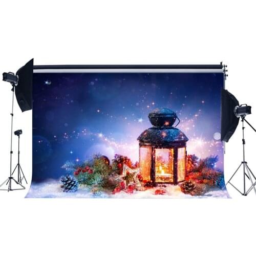 Photography Backdrop Merry Christmas Ornaments Lantern Branch Red Fruits Pine Nuts Bokeh Halos Glitter Sequins Xmas Background