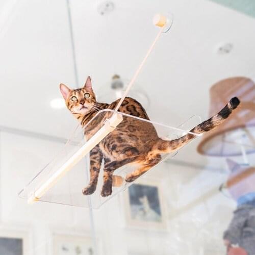 Hammock for cats beds and houses Transparent acrylic on the window Cat Pet bed High-end Sunny window seat swing Bearing 20kg