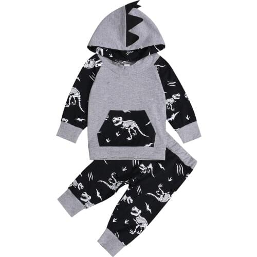 FOCUSNORM 0-18M 2pcs Infant Baby Boys Clothes Sets Dinosaur Printed Hooded Long Sleeve Pullover Tops Pants Autumn Outfits
