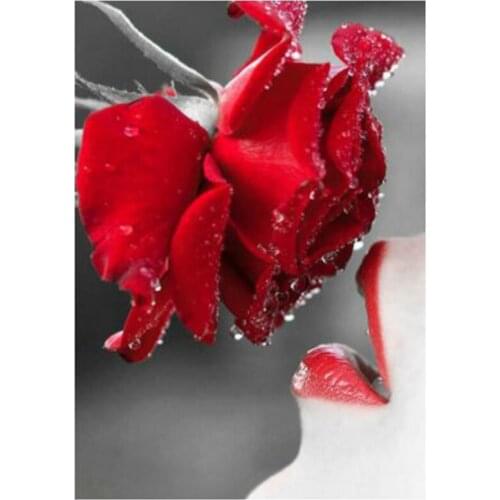 New 5D Full Square Woman Kissing Rose Flower Cross Stitch Picture Rhinestone Diamond Painting Embroidery Needlework FC582