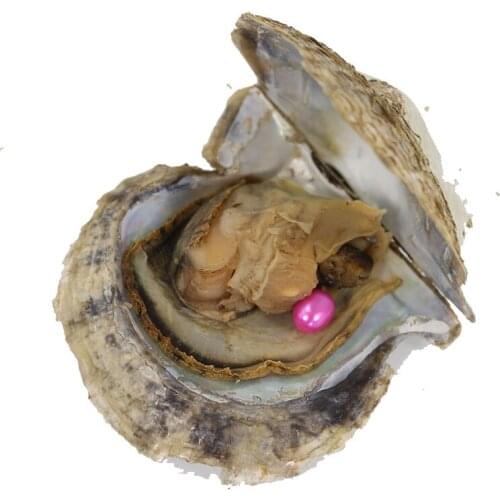 20pcs 6-7mm Rice Akoya Pearl in Oysters with Vacuum Package Fashion Purple Pearl Beads in Akoya Oysters Pearl Party ABH648