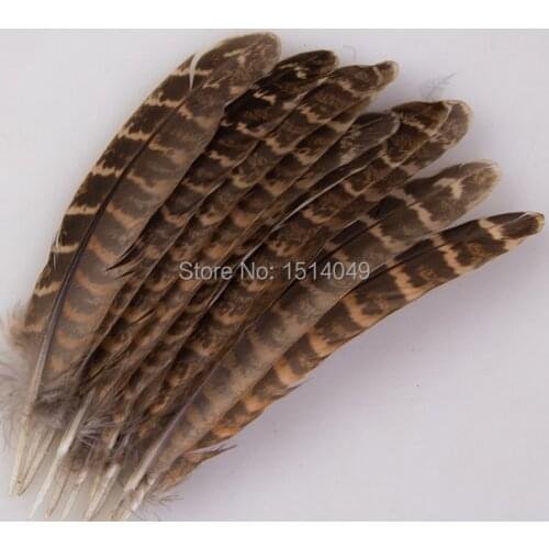 Free shipping wholesale 100pcs high quality natural turkey feathers 12-18cm / 5-7inch variety of decorative and collect