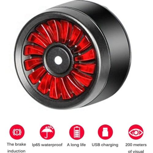 5 Light Modes Bicycle Rear USB Rechargeable Light Smart Brake LED Lamp Safety Warning Strobe Waterproof Light