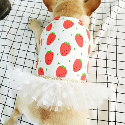 2019 Spring Summer Pet Dog Dress Cute Sweet Strawberry Princess Gauze Tutu Skirt Puppy Clothing Apparel For Small Dogs Clothes