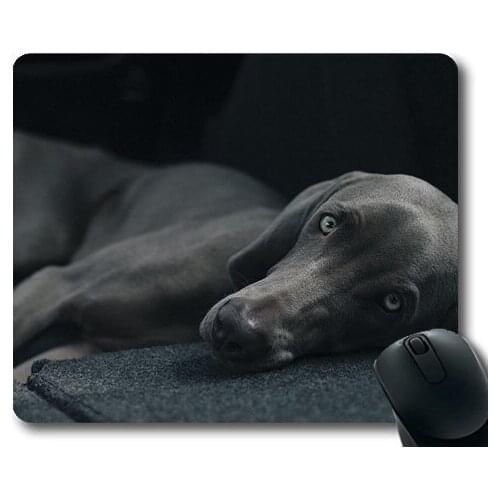 Dogs pets garden Mouse Pads ,Dog Pet Lying Resting Canine Domestic Animal,dogs mouse mat