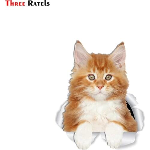 Three Ratels Cute Red Maine Coon Kitty Cat Wall Decals Orange Maine Coon Cat Toilet Sticker 3D Cat Car Window and Bumper Sticker