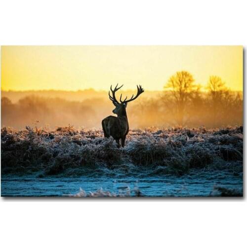 W029 Sunset Deer Wild Animal Landscape Picture Silk Fabric Wall Poster Art Decor Sticker Bright