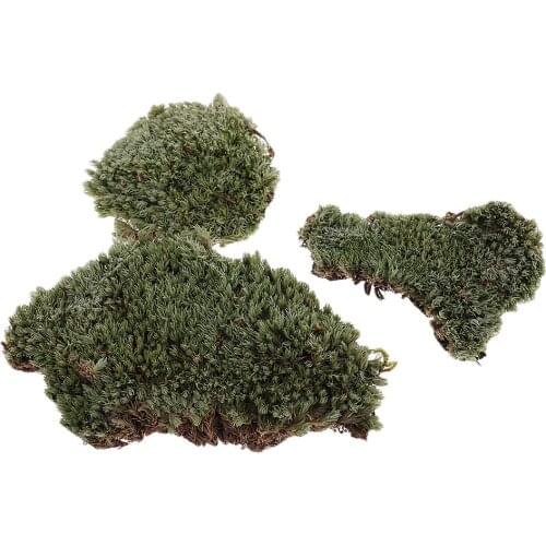 1/35 Scale Moss Lichen Model Ground Grass Lawn for Diorama for architecture scenery building Sand Table Moss Lichen Model