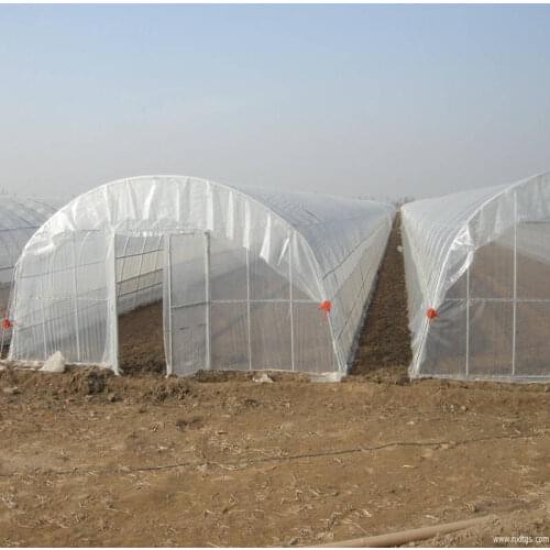 8M*30M-Large Commercial Green Houses Agriculture Greenhouse