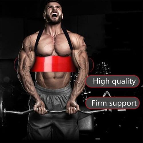 Biceps Training Board Arm Forearm Trainer for Weight Lifting Bodybuilding Fitness Equipment Indoor Training Board