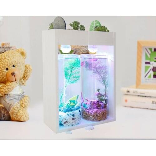 Creative Desktop Fish Tank Home Desk Ecological Microscopic Fleshy Thai Aquarium Plastic