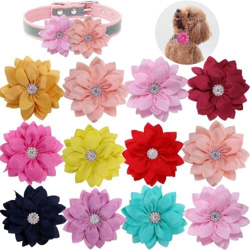 Masue Pets Products For Dogs