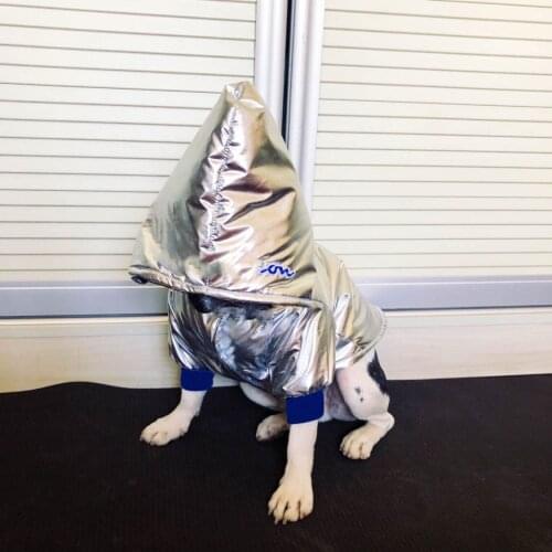 Silver Shiny Dog Cotton Clothes Warm and Fashionable Dog Jacket Teddy Fight Pomeranian Plush Dog Clothes for Small Dogs