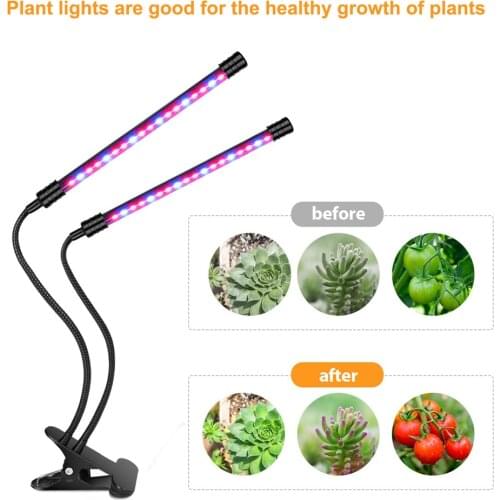 Kebedemm LED Plant Lamps