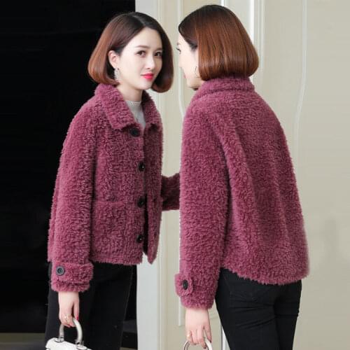 Women Faux Fur Teddy Short Coat Casual Lapel Long Sleeve Single Breasted Thick Jacket Warm Female Fall Winter Plush Outwear 2021